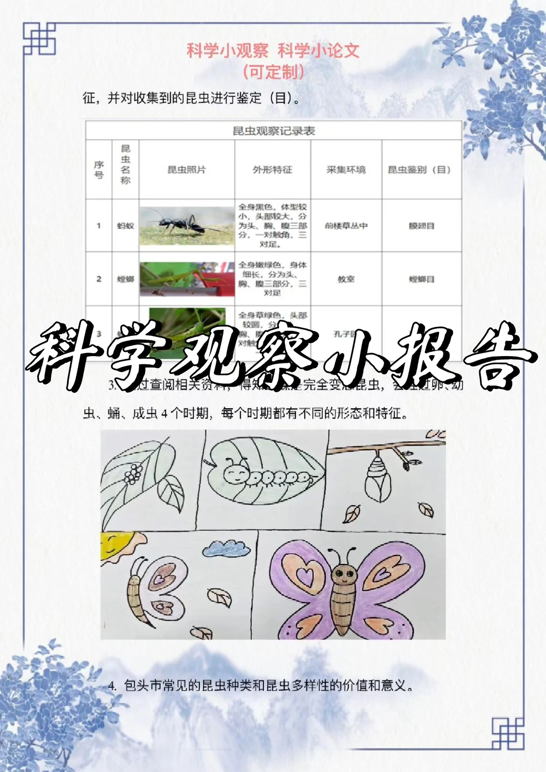 姐妹们，看过来这篇科学观察小报告写的太好