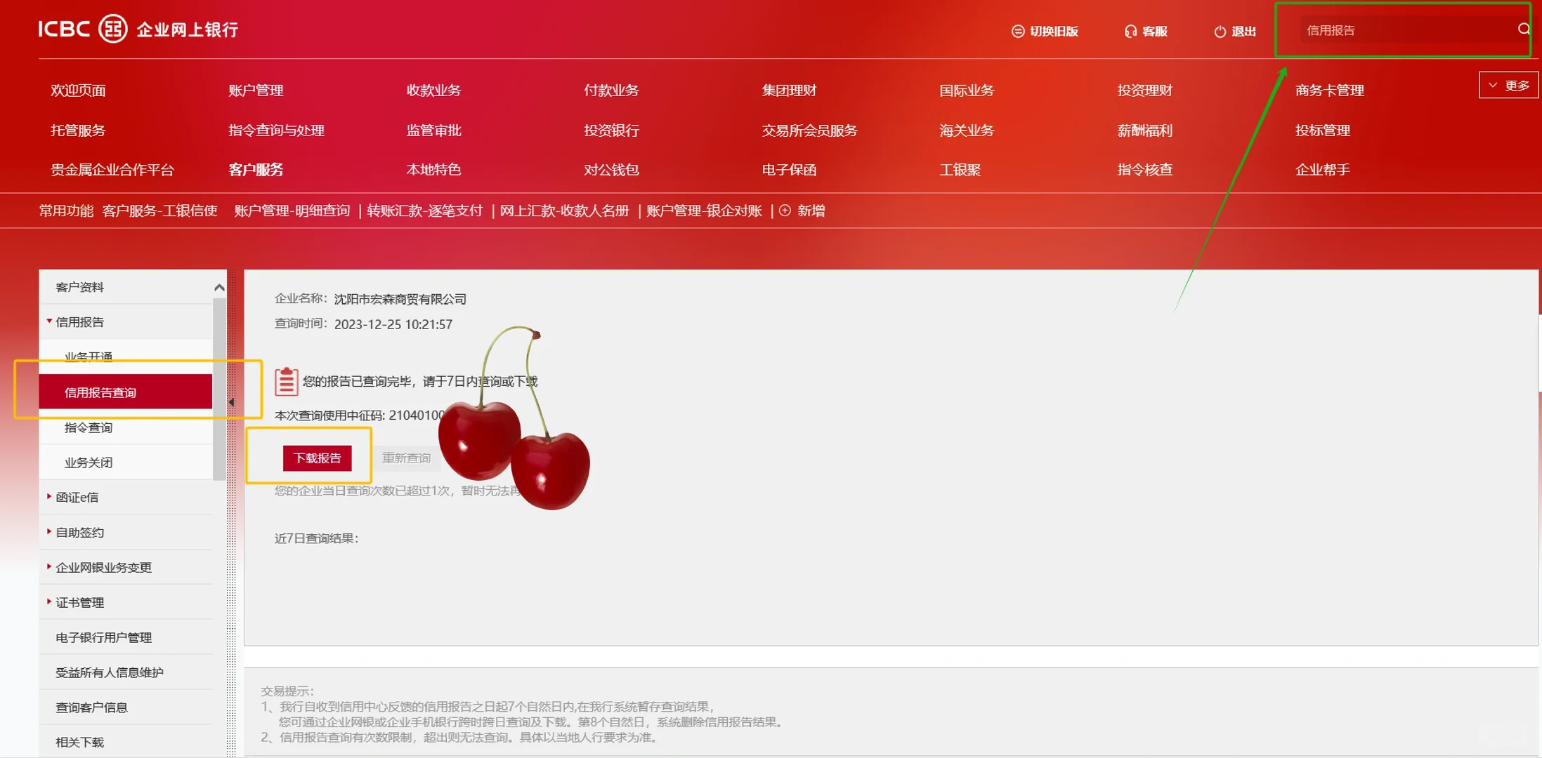 企业征信报告