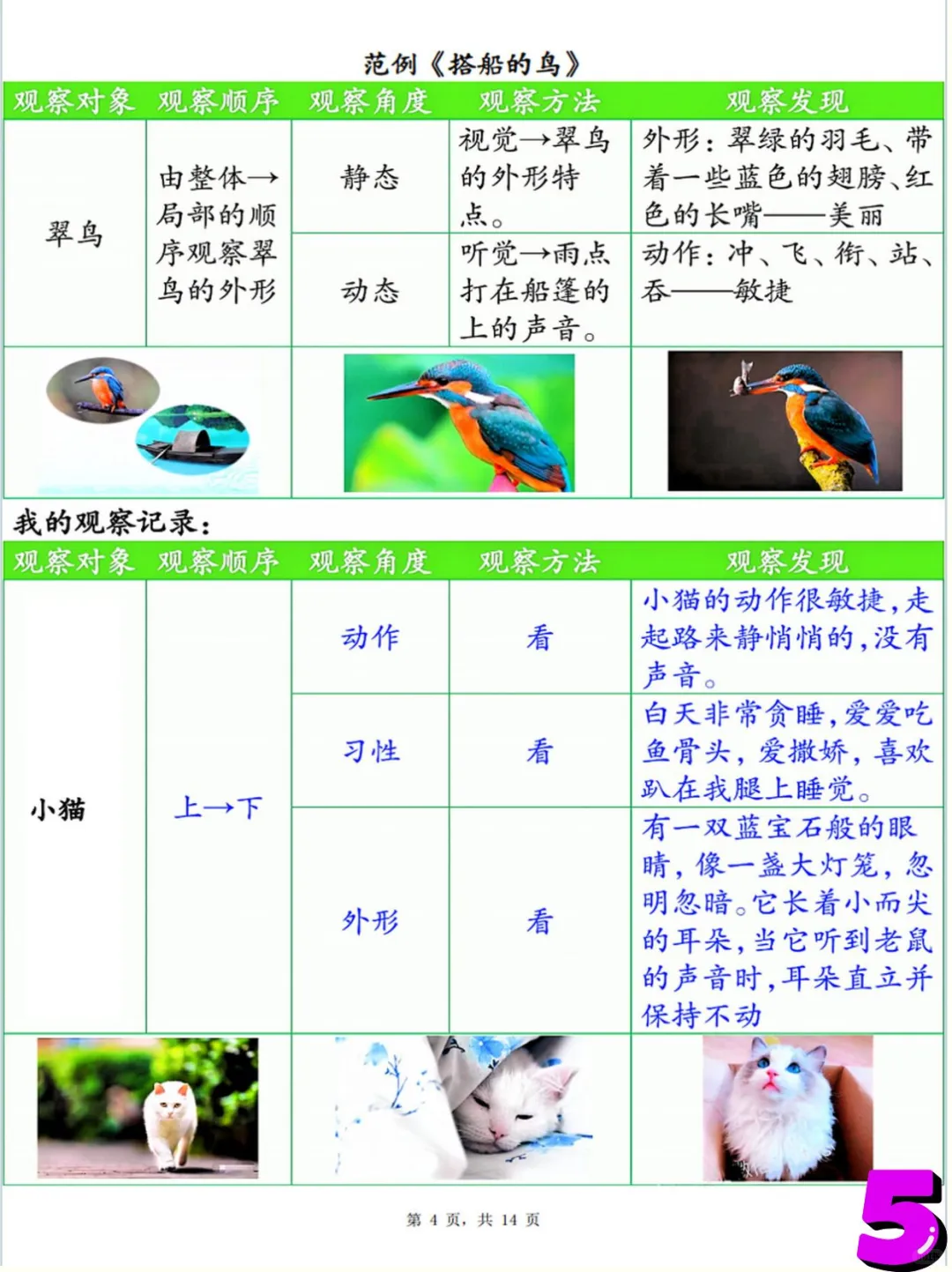 三上语文，观察记录单，看这里！
