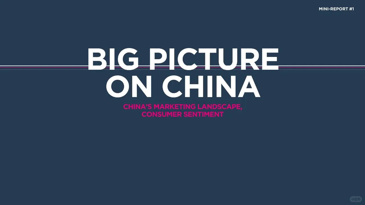 2024年中国消费市场全景报告