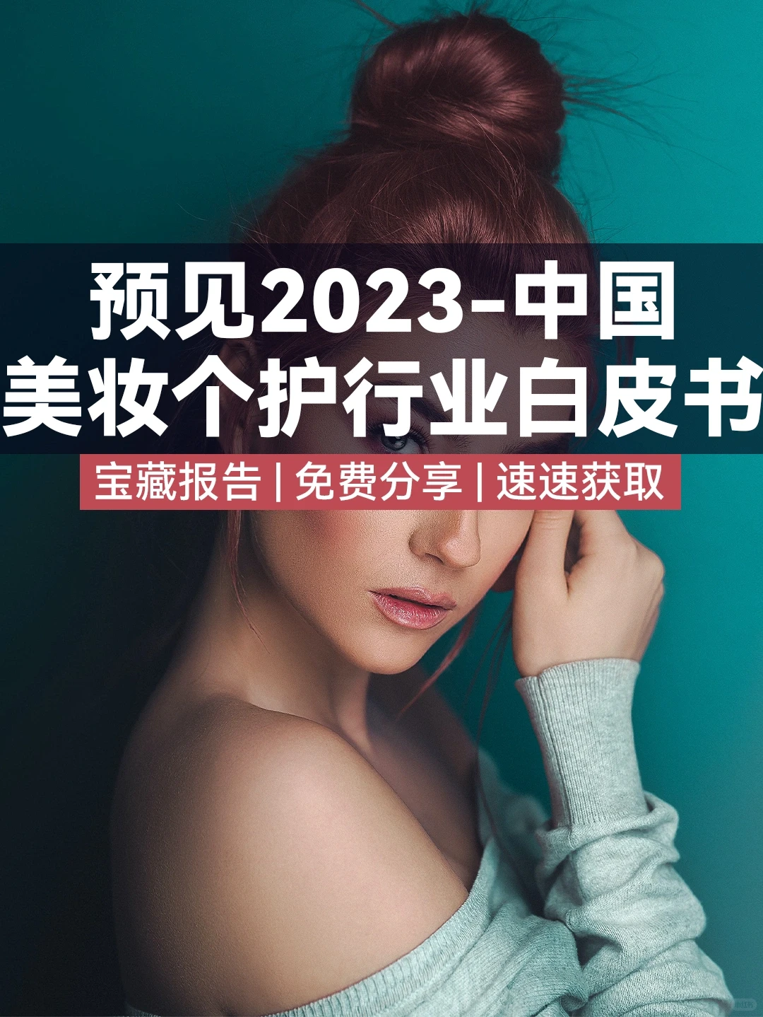 预见2023｜中国美妆客户行业白皮书（96页）