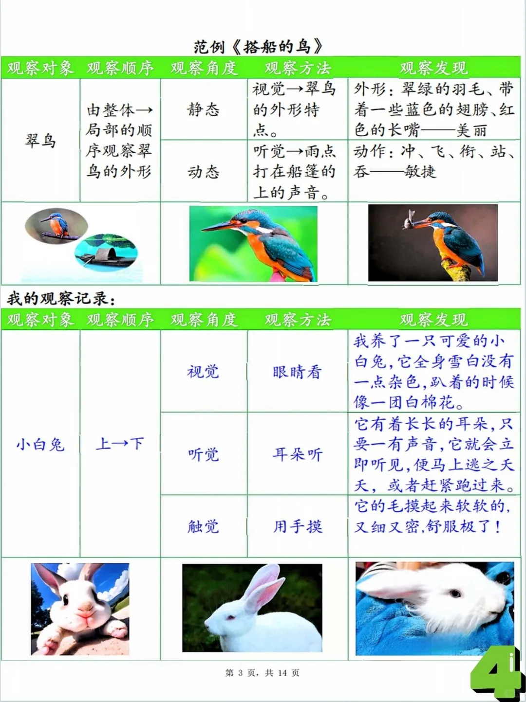 三上语文，观察记录单，看这里！