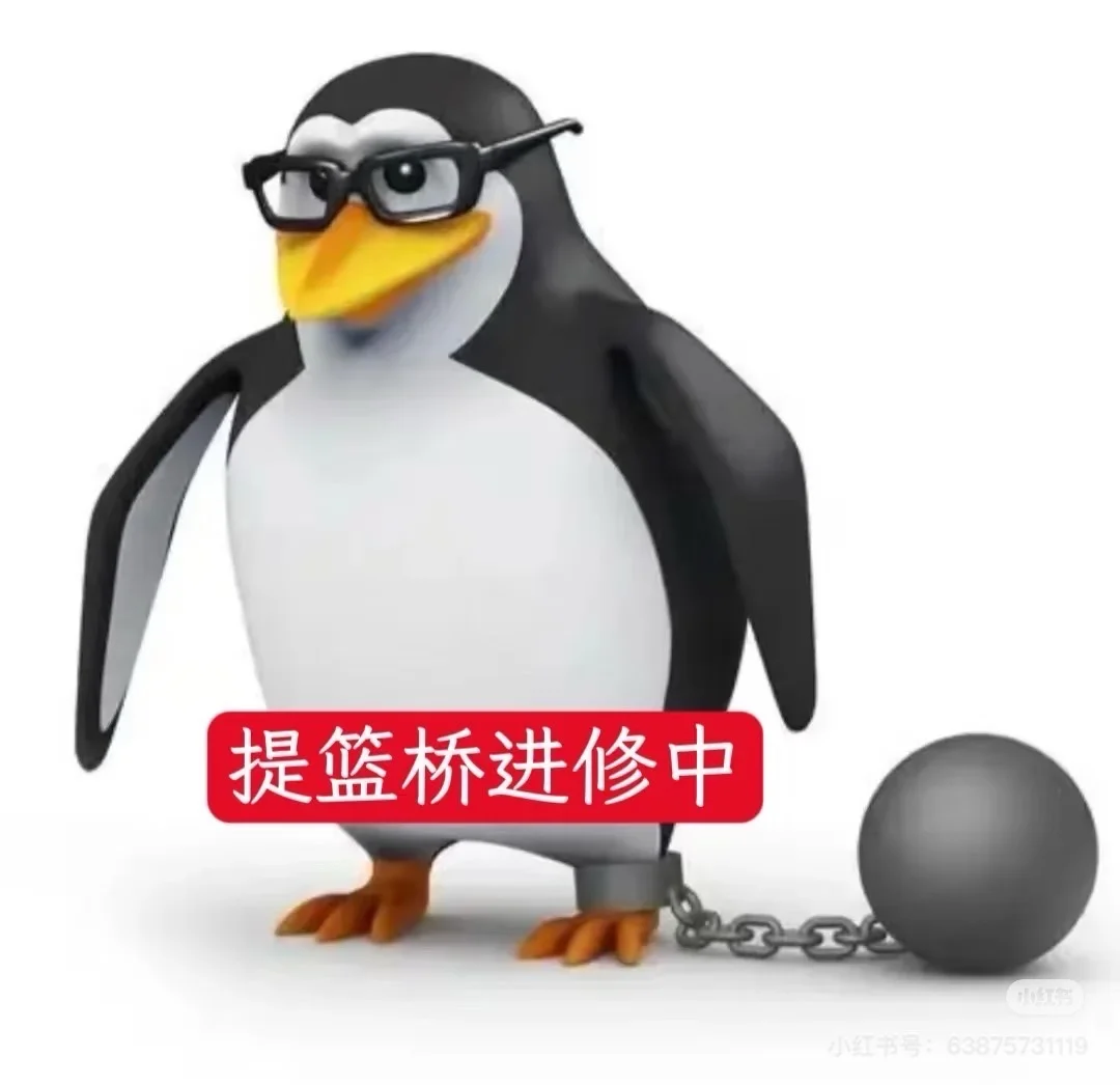 女生进金融行业,其实资管依然很香