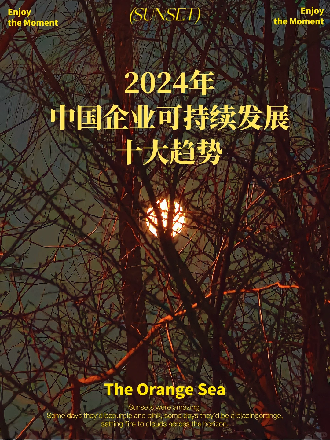 重磅发布!2024年中国企业可持续发展十大趋