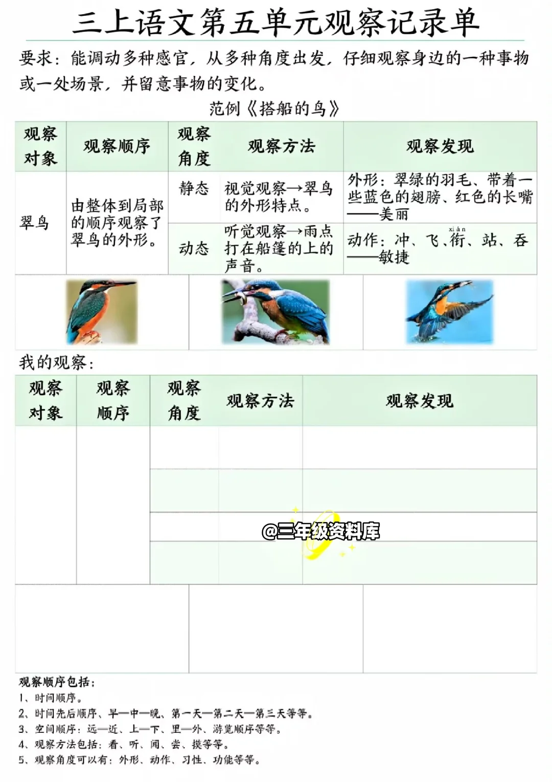 三年级语文上册?【观察记录单】