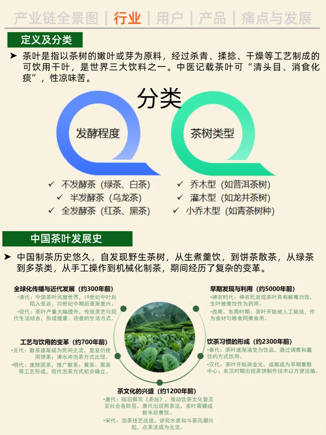 一天吃透一条产业链。NO.25 茶叶行业