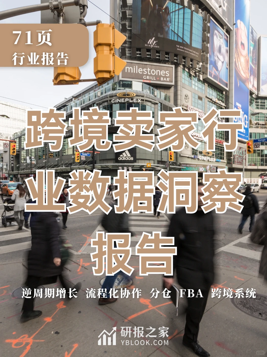 单篇研报分享|跨境卖家行业数据洞察报告