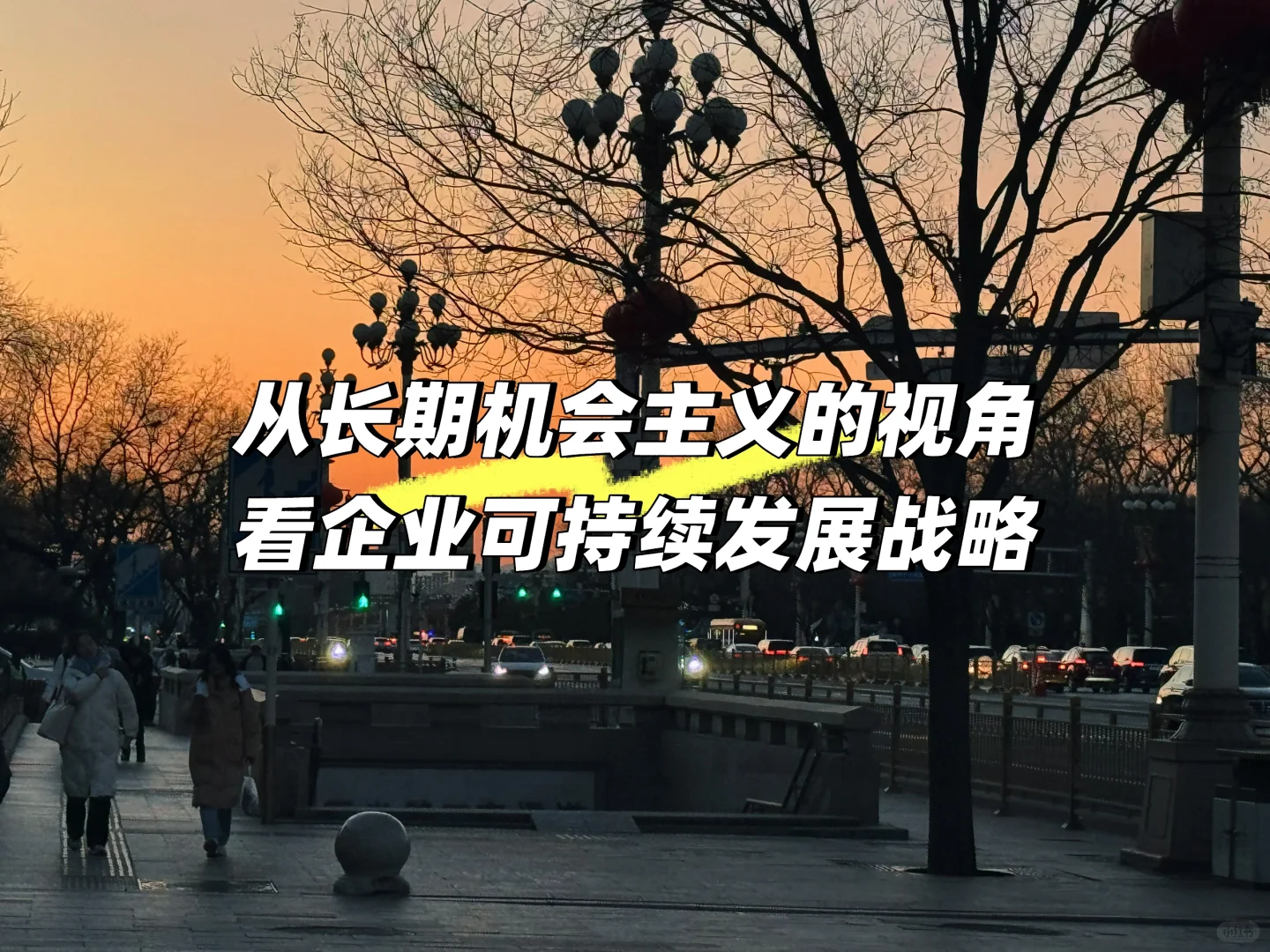 企业可持续战略中的长期机会主义