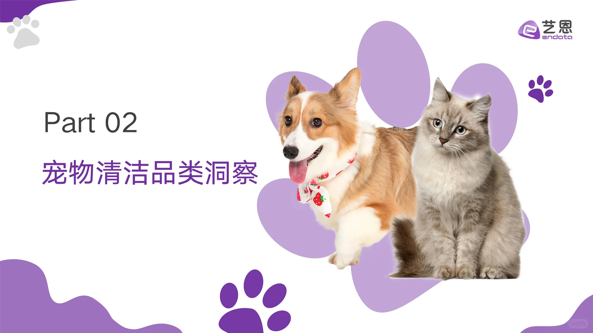 2024宠物清洁用品趋势洞察报告