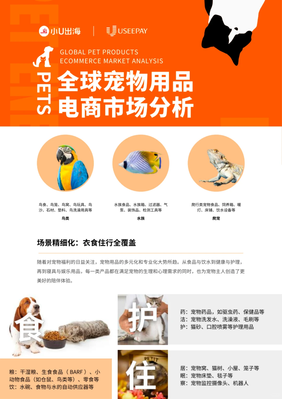 宠物行业报告合集✅超全吐血整理