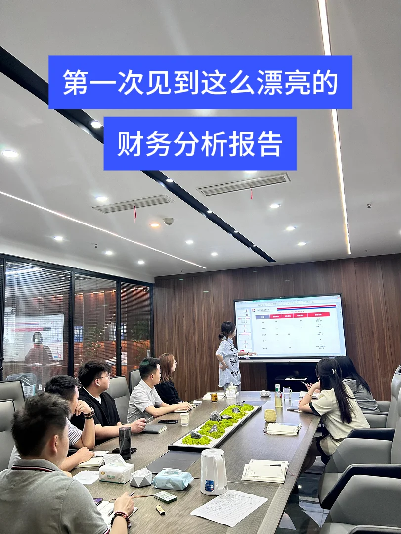 第一次见到这么漂亮的财务分析报告