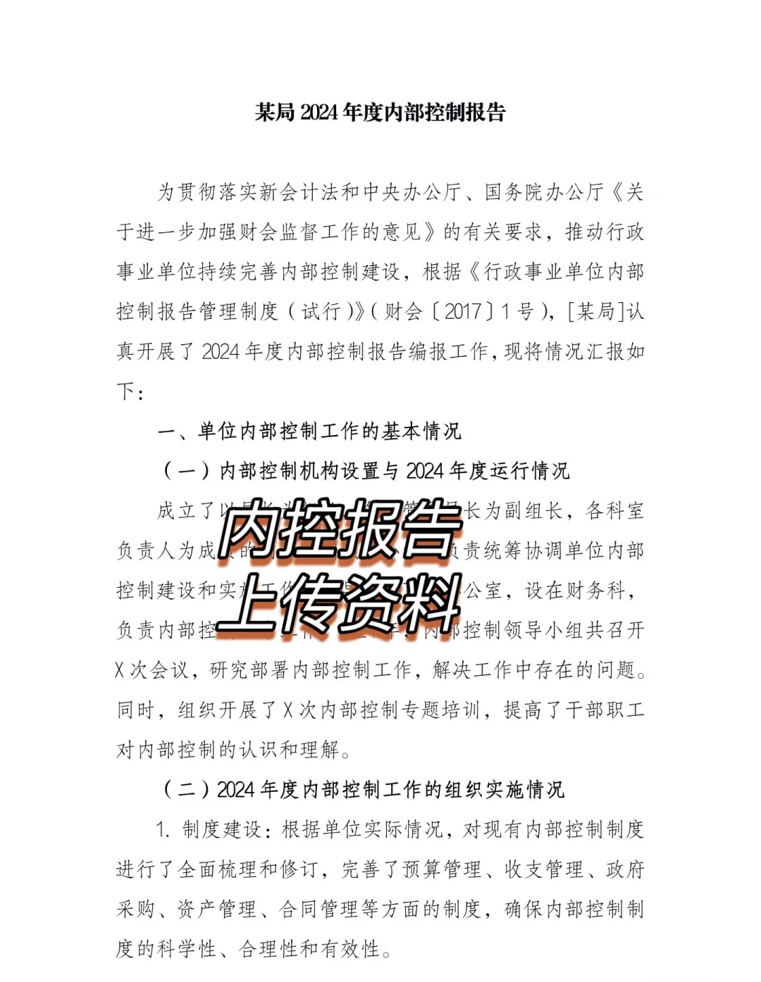 2024年度单位内部控制报告