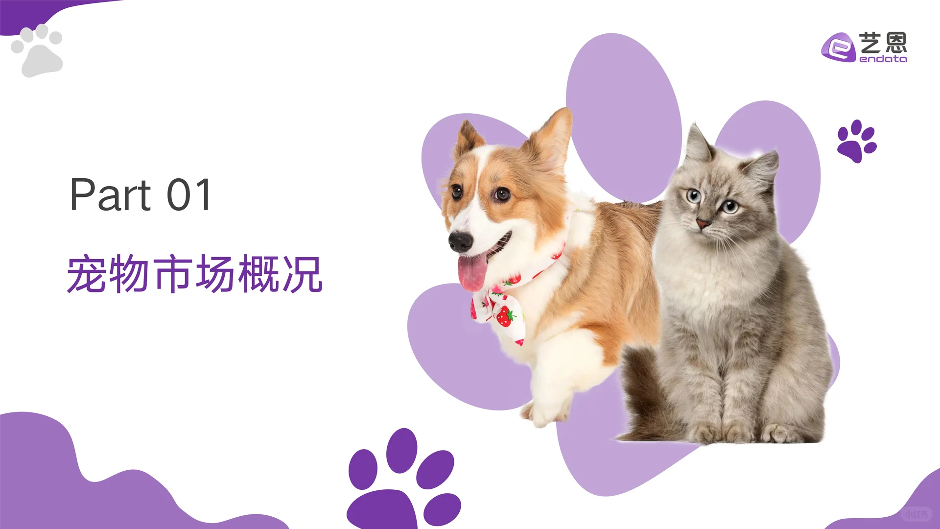 2024宠物清洁用品趋势洞察报告
