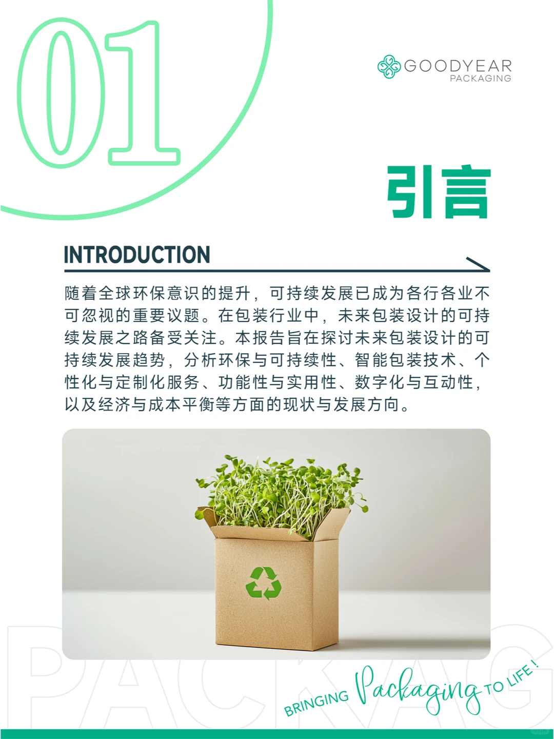 未来包装设计的可持续发展之路