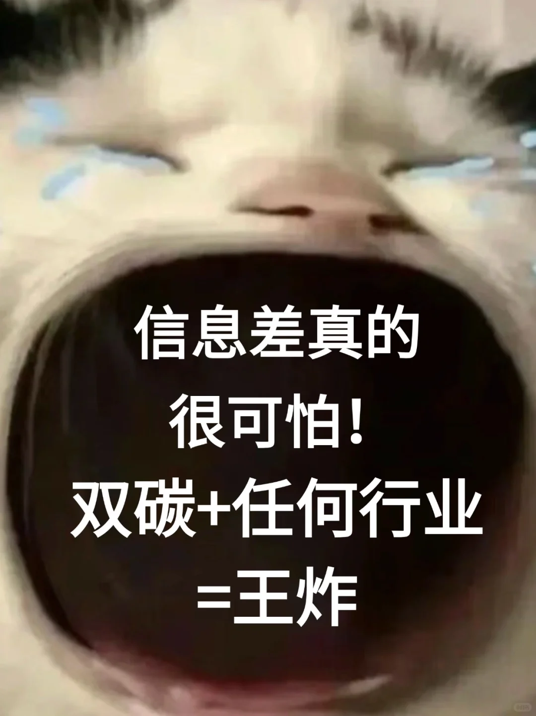 双碳让我明显感受到了信息差的恐怖…