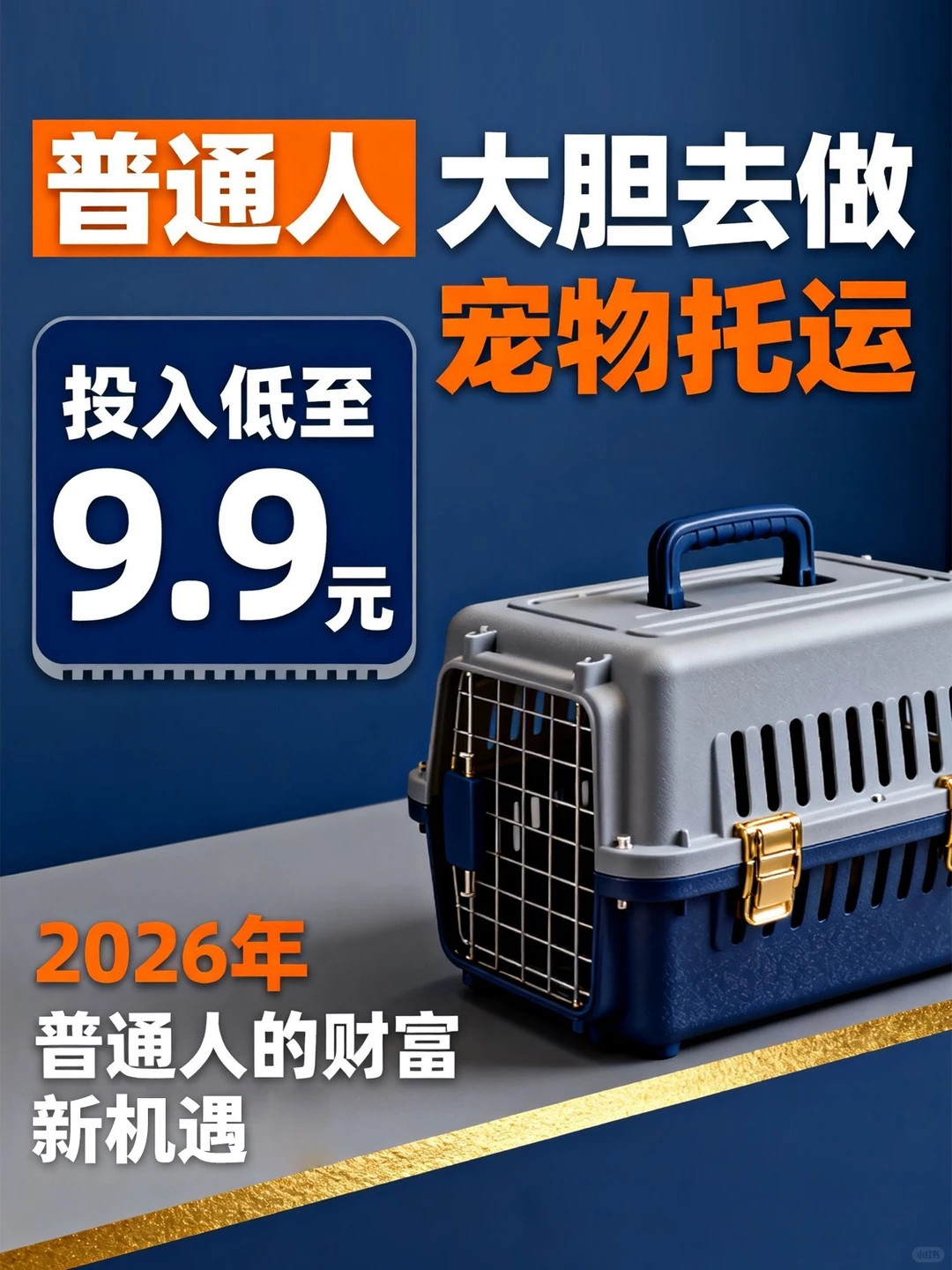 2026年，普通人大胆去做宠物托运，普通人的财