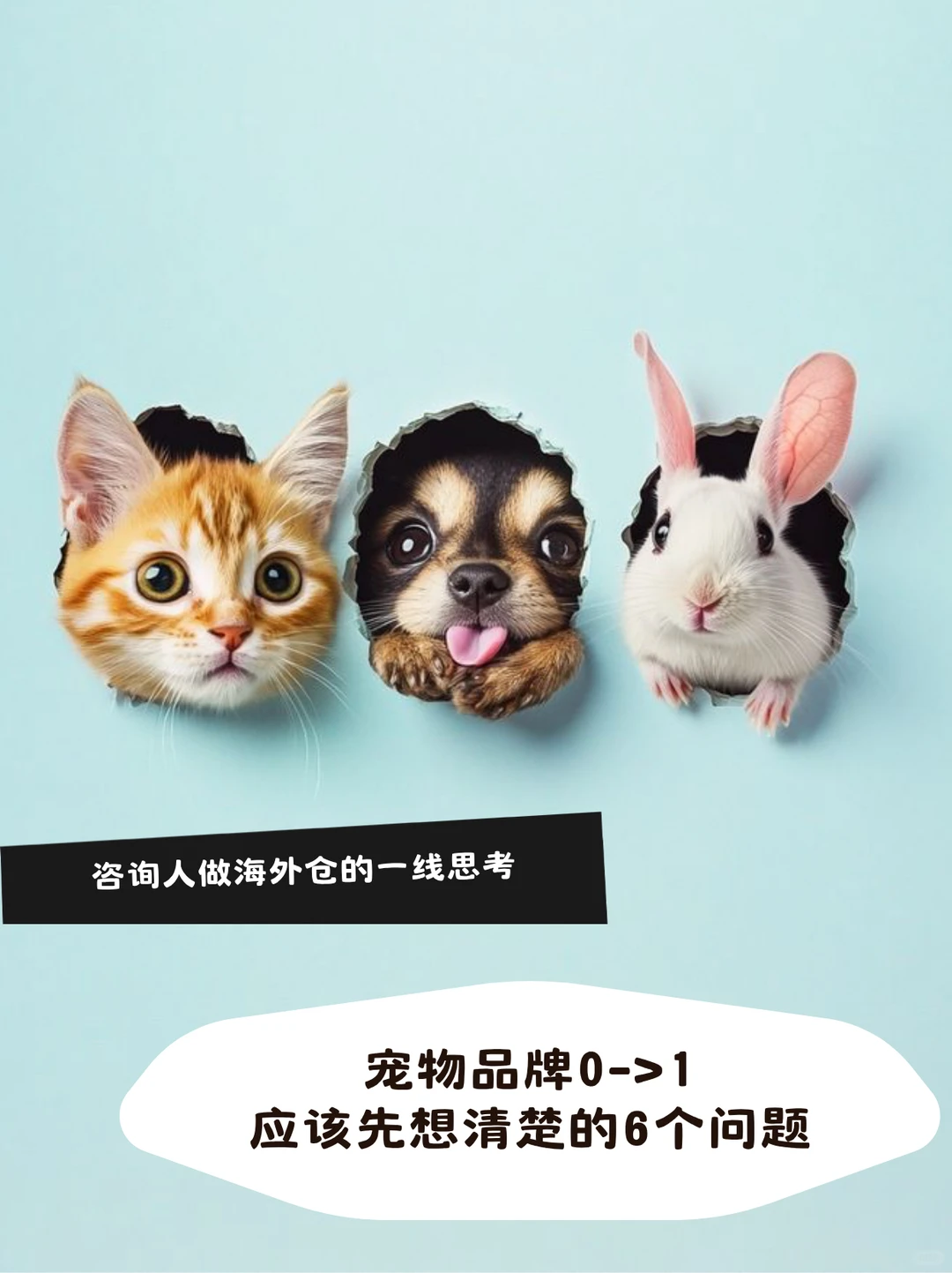 宠物品牌0-1，应该先想清楚6个问题