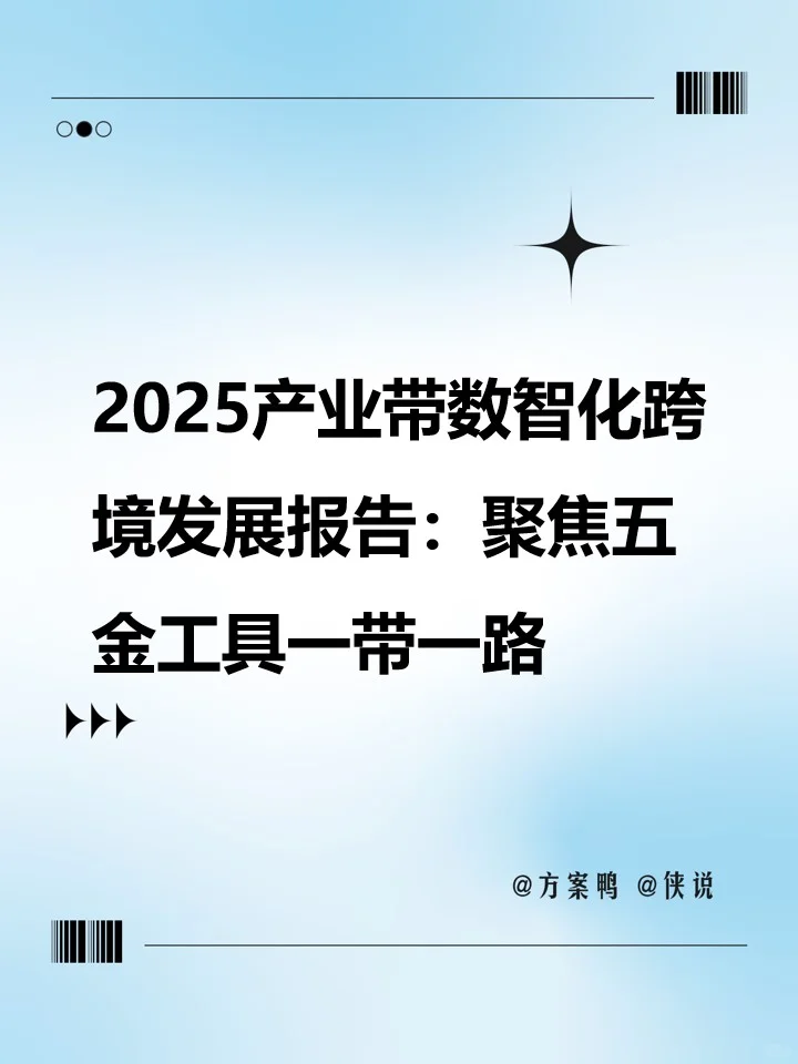 2025产业带数智化跨境发展报告