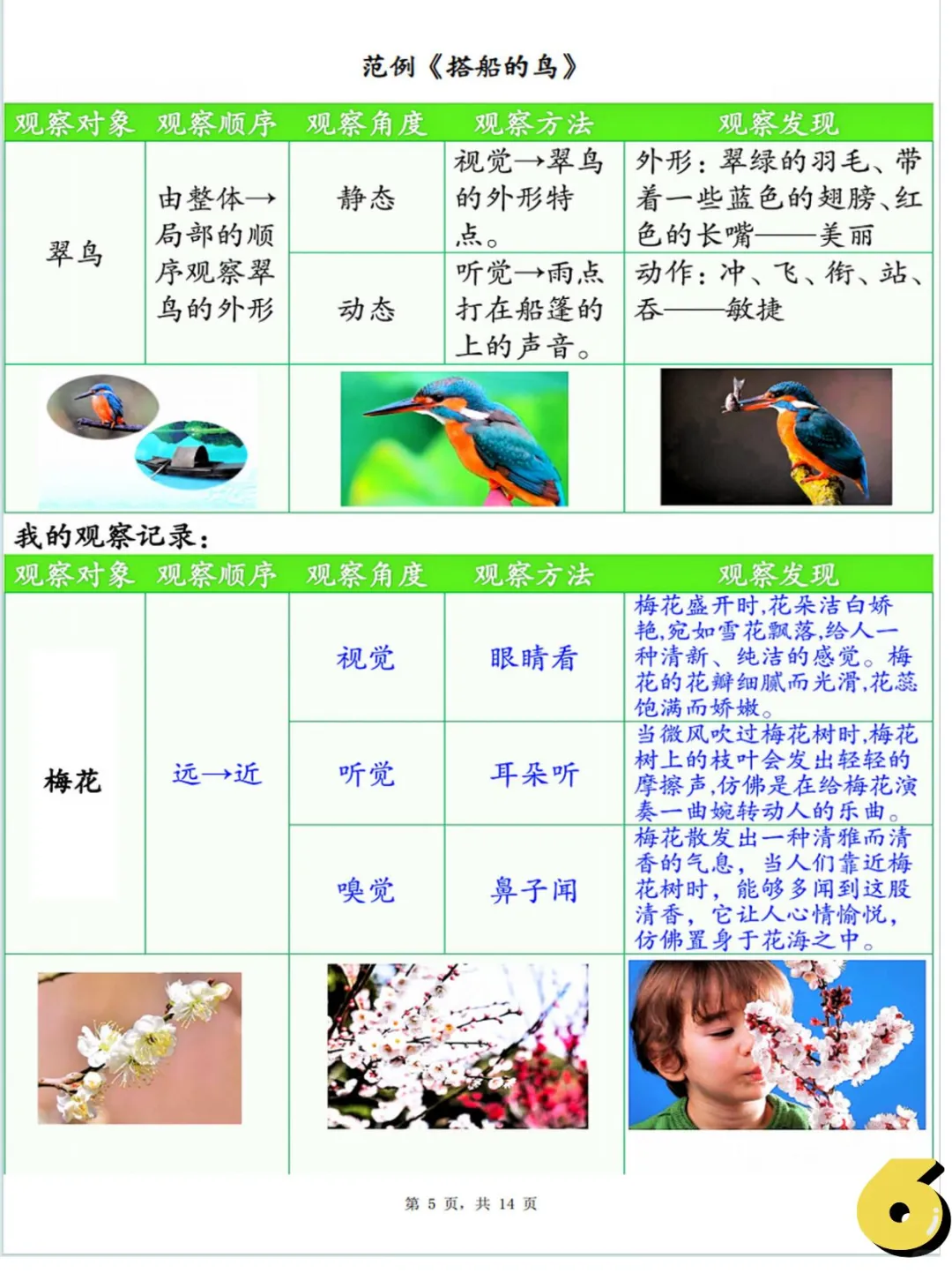 三上语文，观察记录单，看这里！