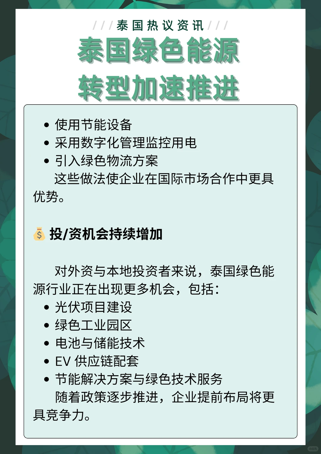 在泰国做生意，这项趋势必须关注：绿色能源