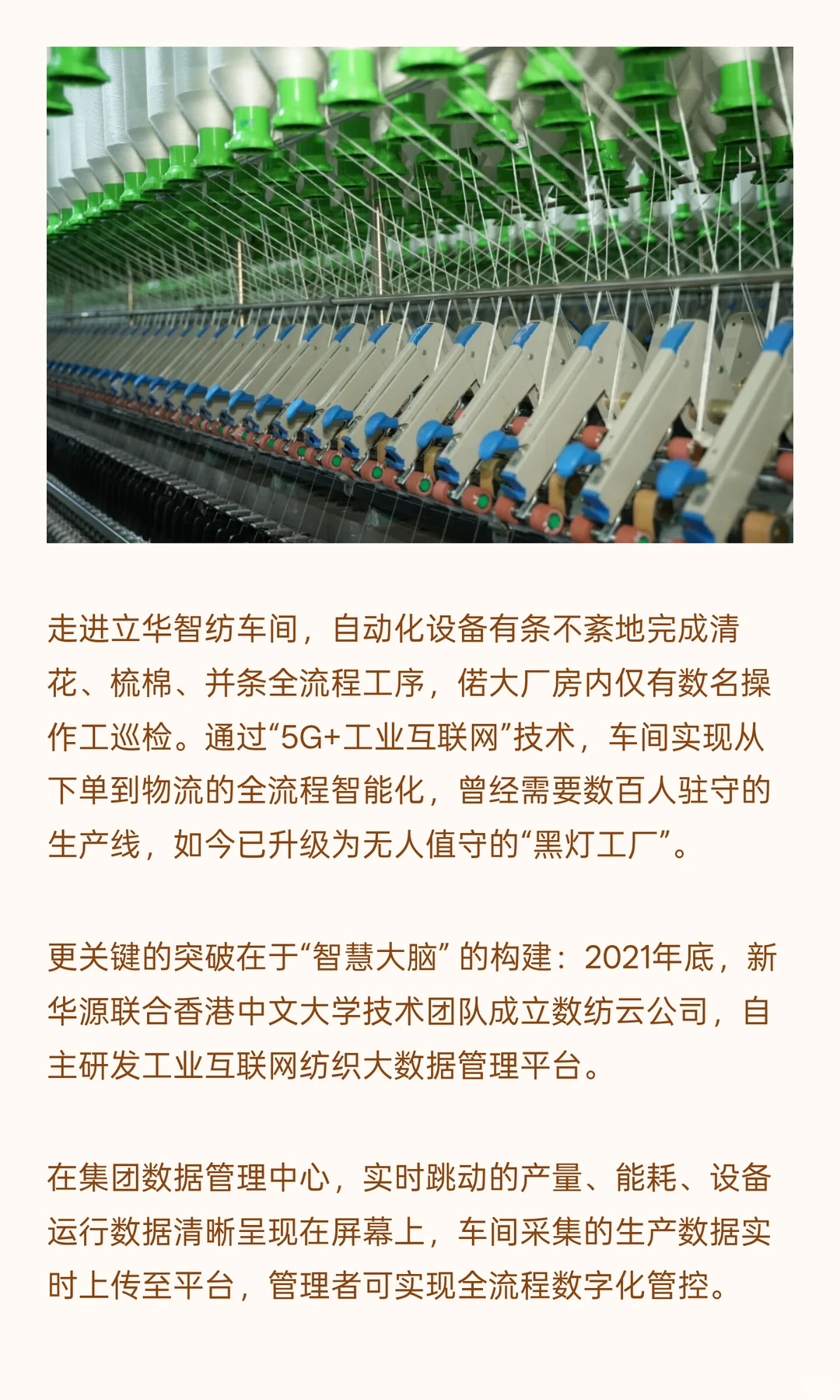 “80后”总裁把莱赛尔做成爆款