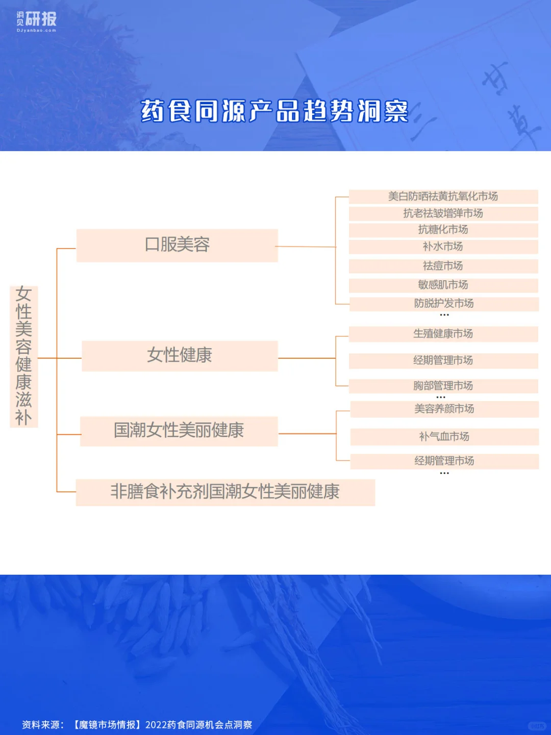 年终汇报|药食同源机会点洞察|医疗医美养生