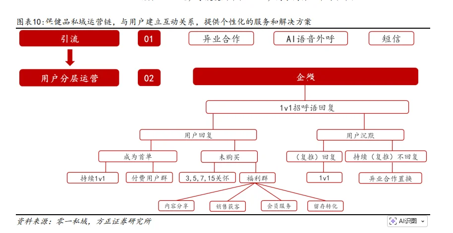 2025年保健品市场分析报告（20份）