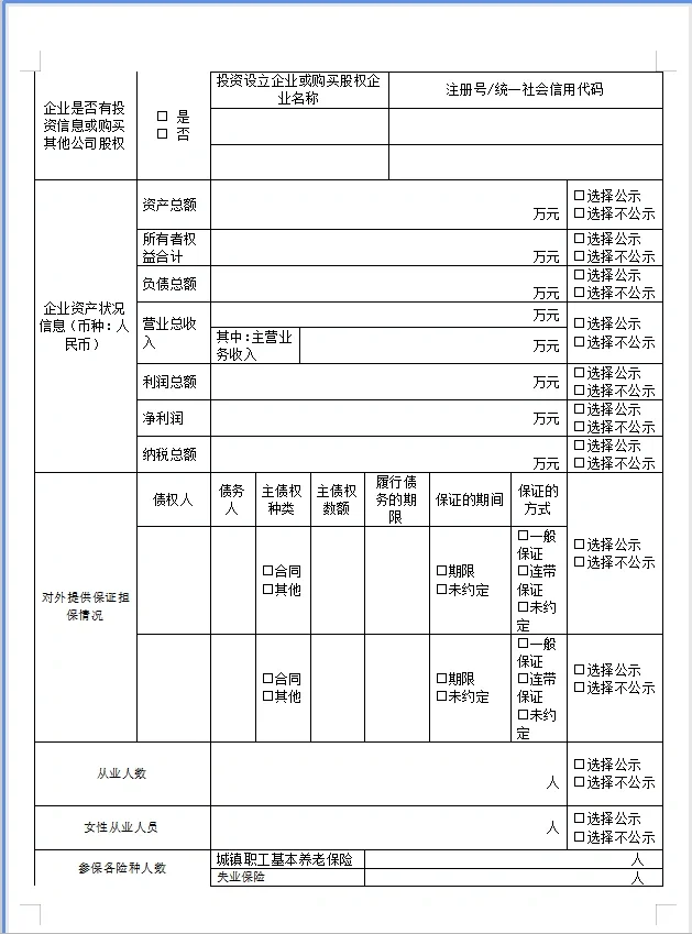 企业工商年报填报模板