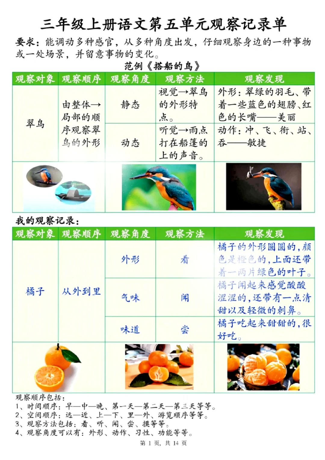 三年级语文上册第五单元观察记录单
