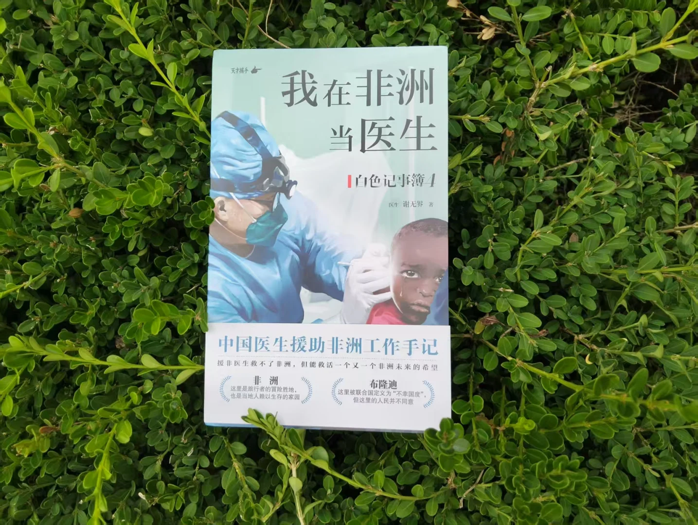 同一个星球,同一个心愿