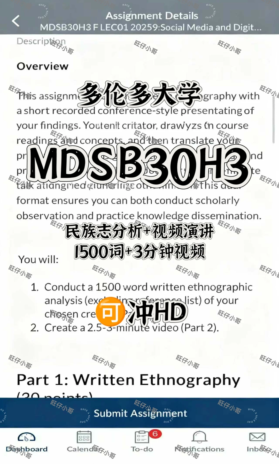 多伦多大学MDSB30H3 报告+演讲 戳我可HD哦