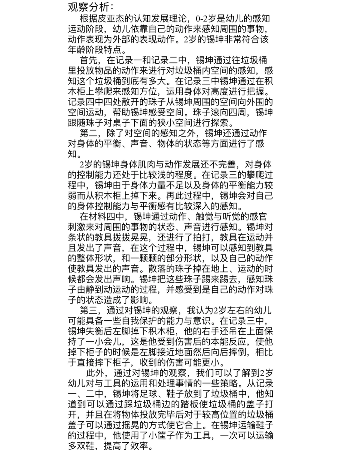 《小人国》儿童行为观察分析报告