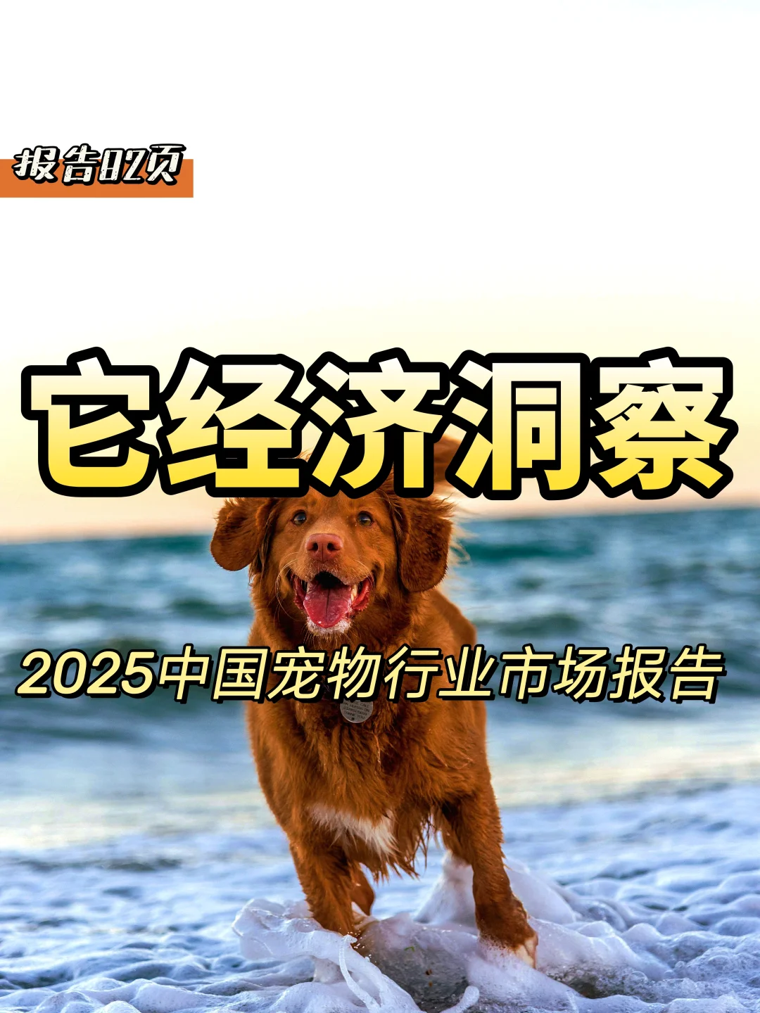 2025年宠物行业市场报告