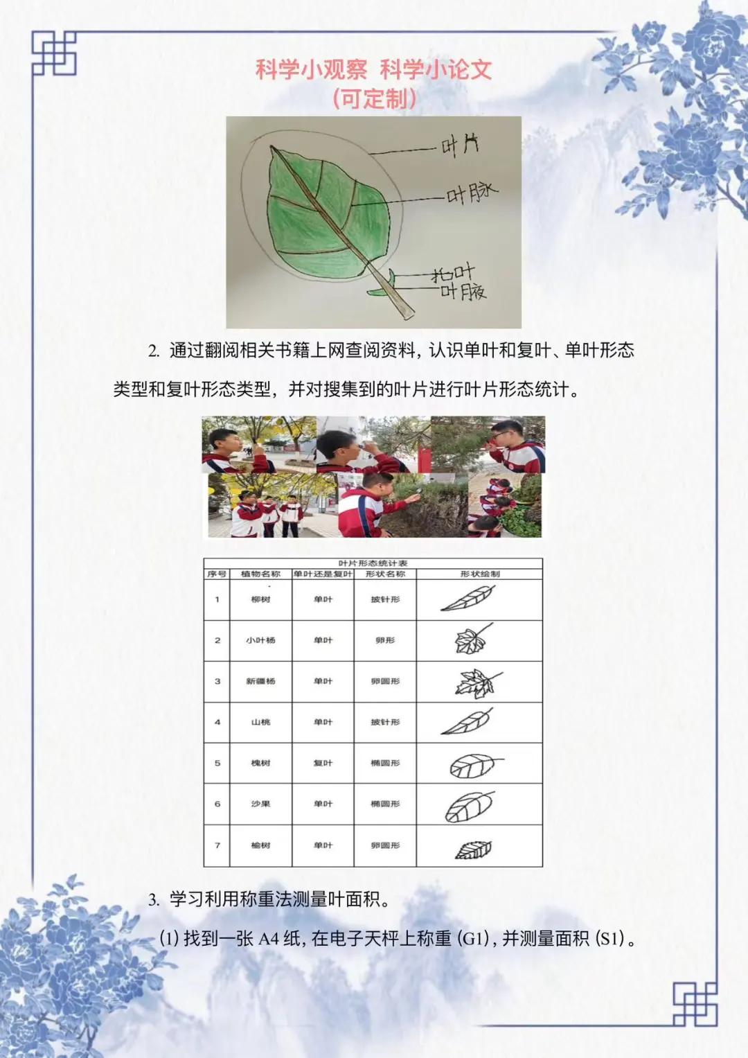 姐妹们，看过来这篇科学观察小报告写的太好