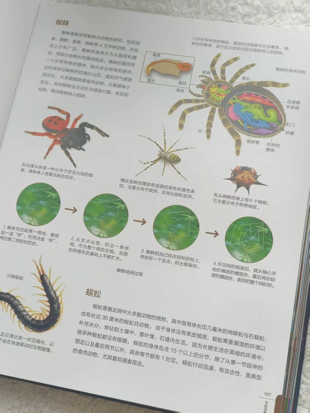 11月新书开箱|双十一最惊喜的“大书”?