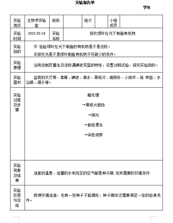 实验报告合集