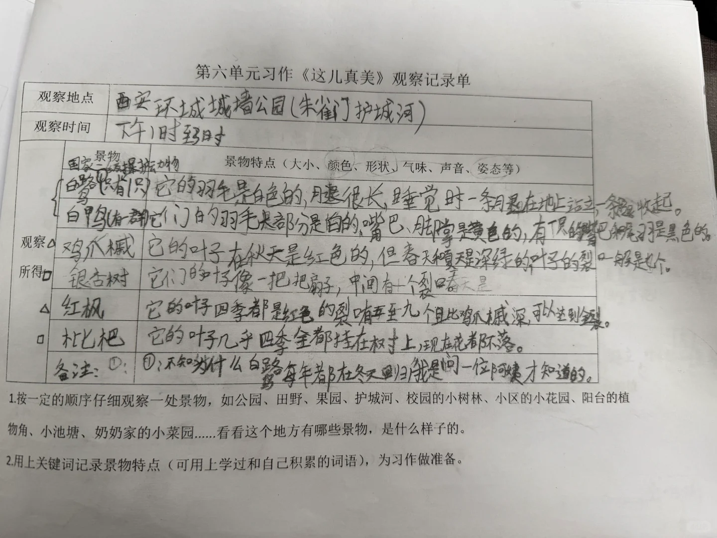 三上第六单元习作