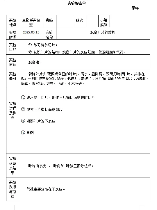 实验报告合集