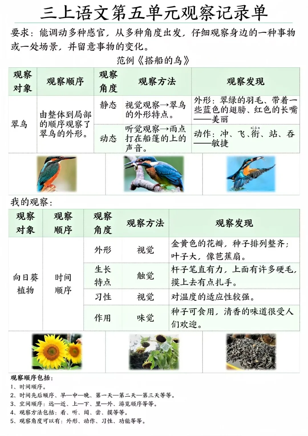 三年级语文上册?【观察记录单】
