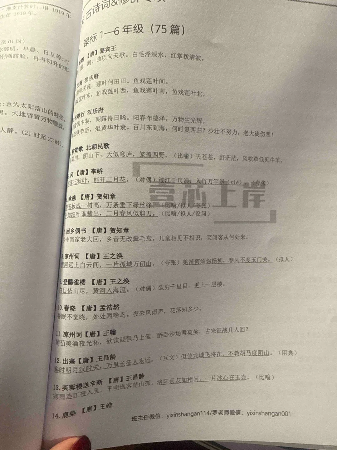 我发现了考编语文基础的宝典！