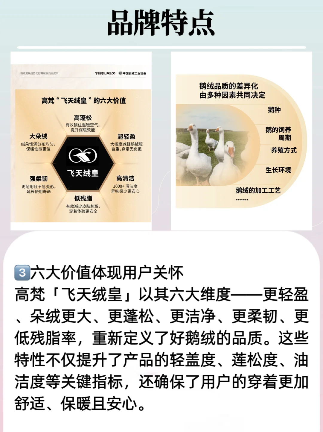 《羽绒发展趋势之好鹅绒品质白皮书》：高梵