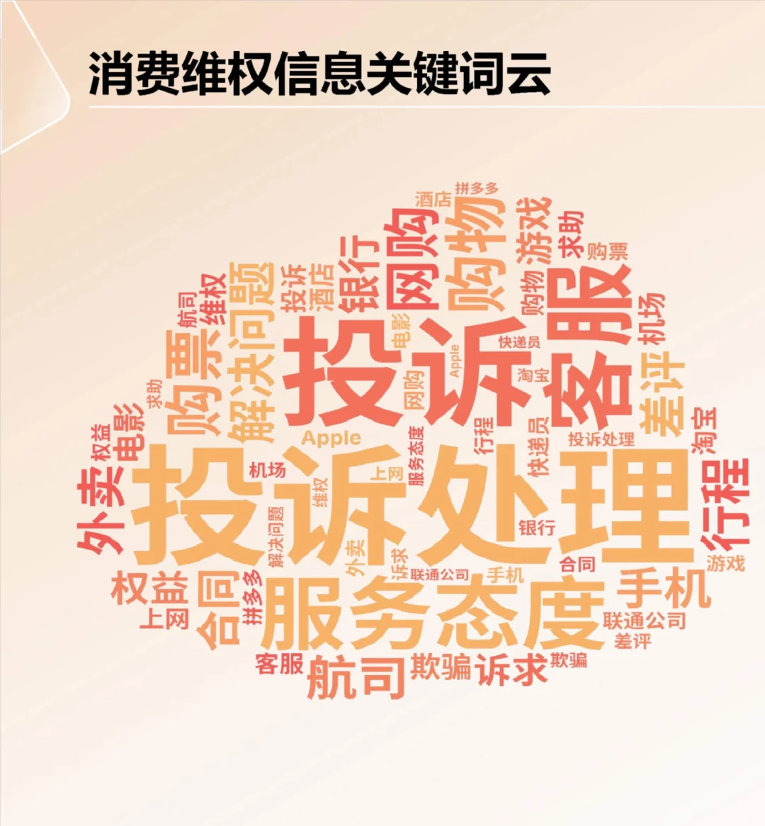 46页报告|2024年消费者权益保护白皮书