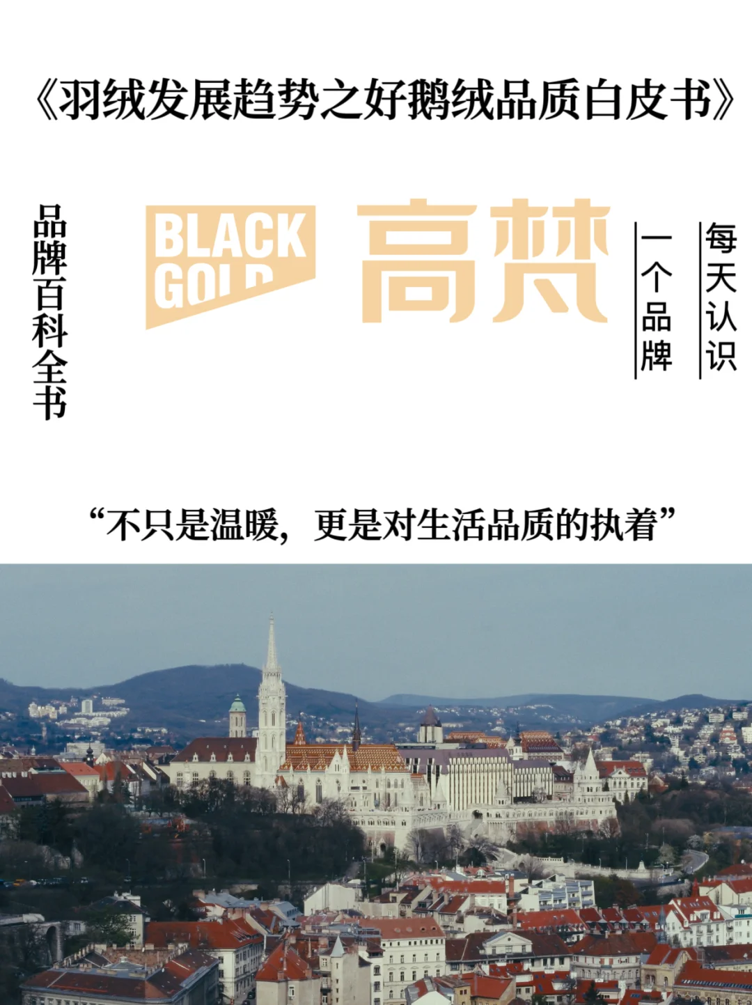 《羽绒发展趋势之好鹅绒品质白皮书》：高梵