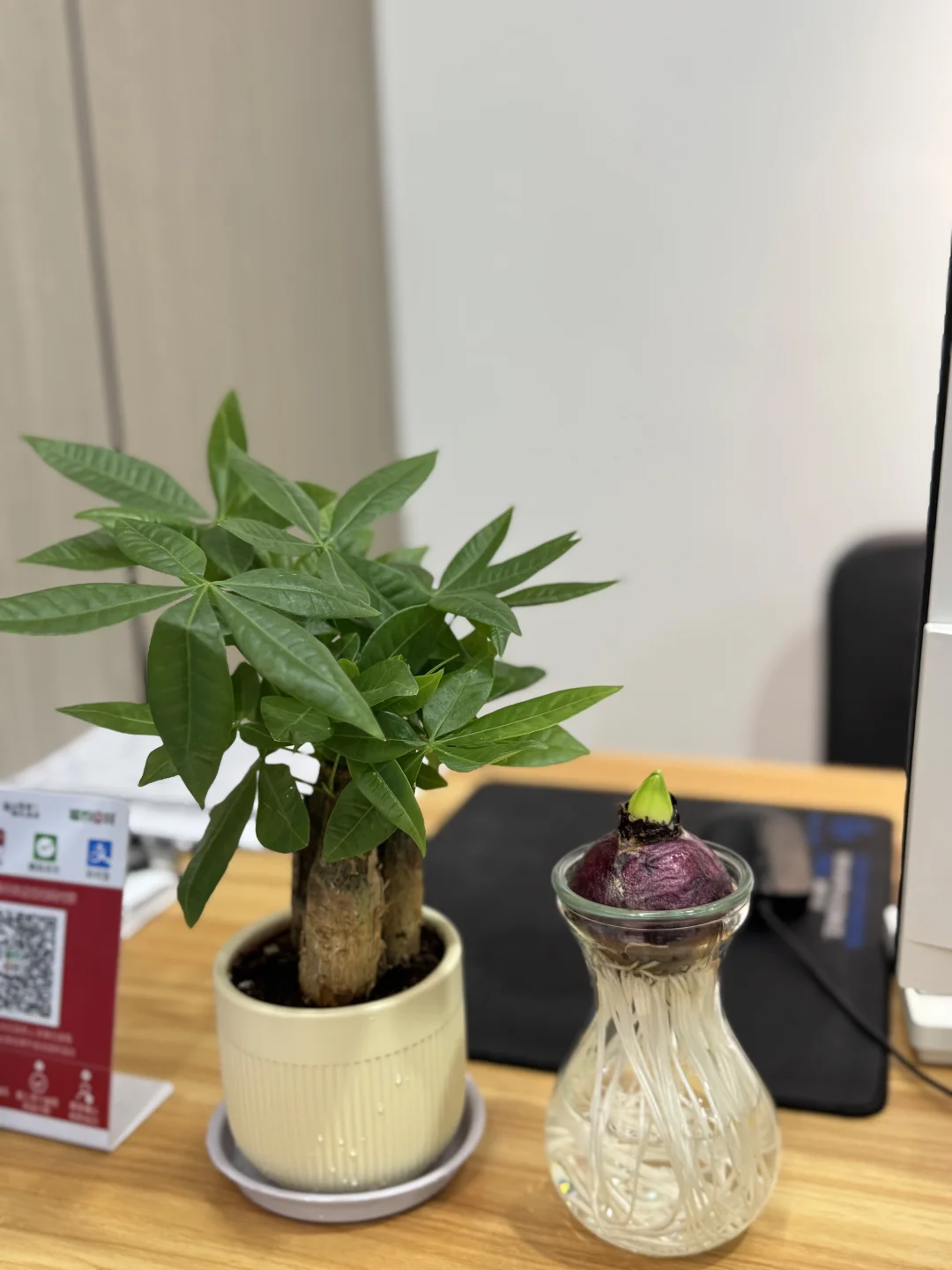 来就给～福建国考白皮书！