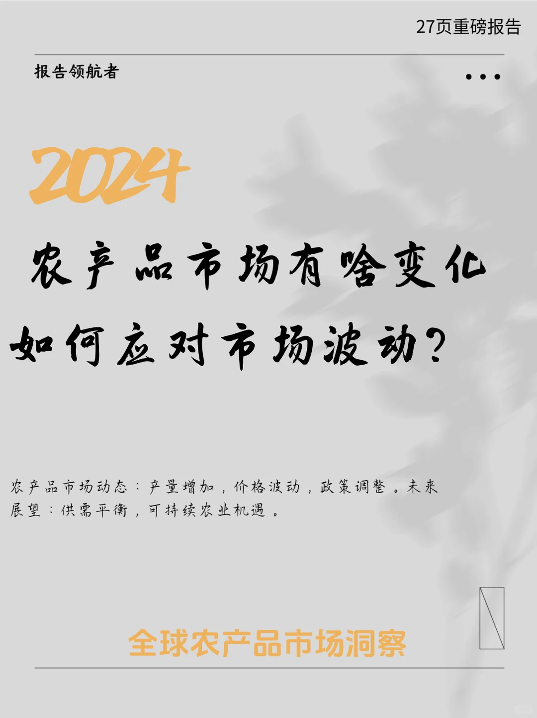 2024全球农产品市场状况