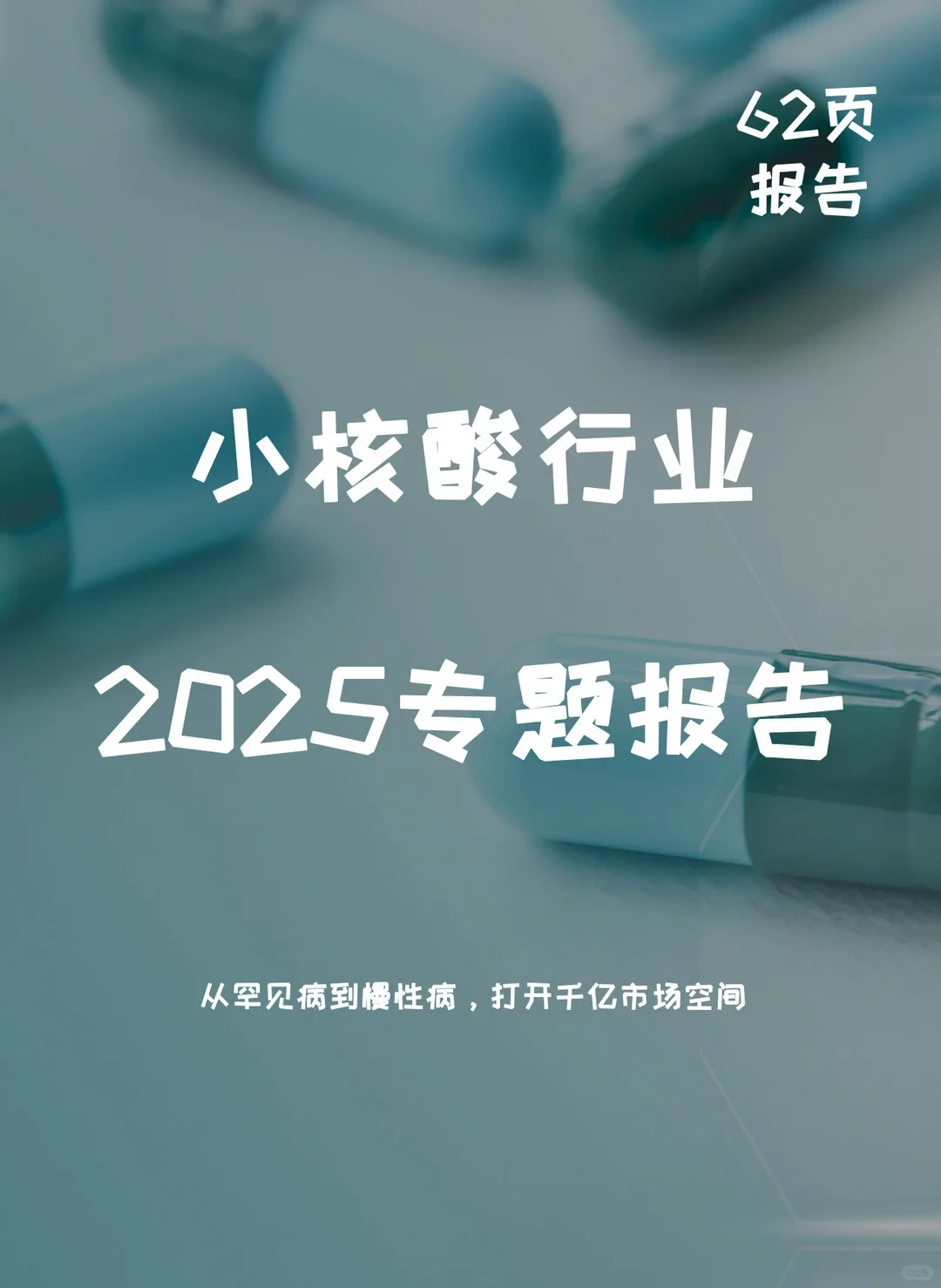 小核酸行业专题报告