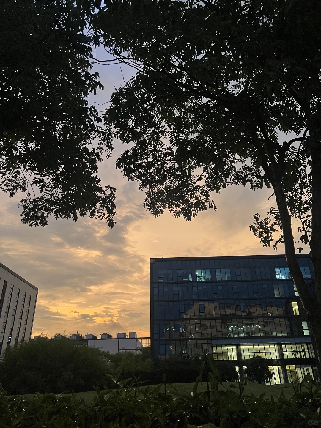 为什么说企业选择入驻产业园更有优势?