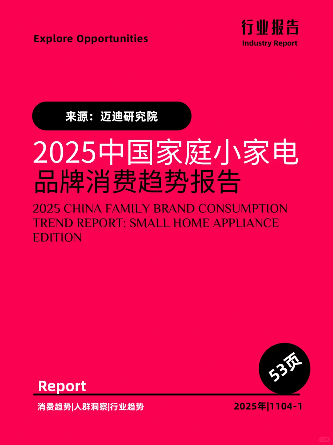 2025年中国家庭小家电品牌消费趋势报告