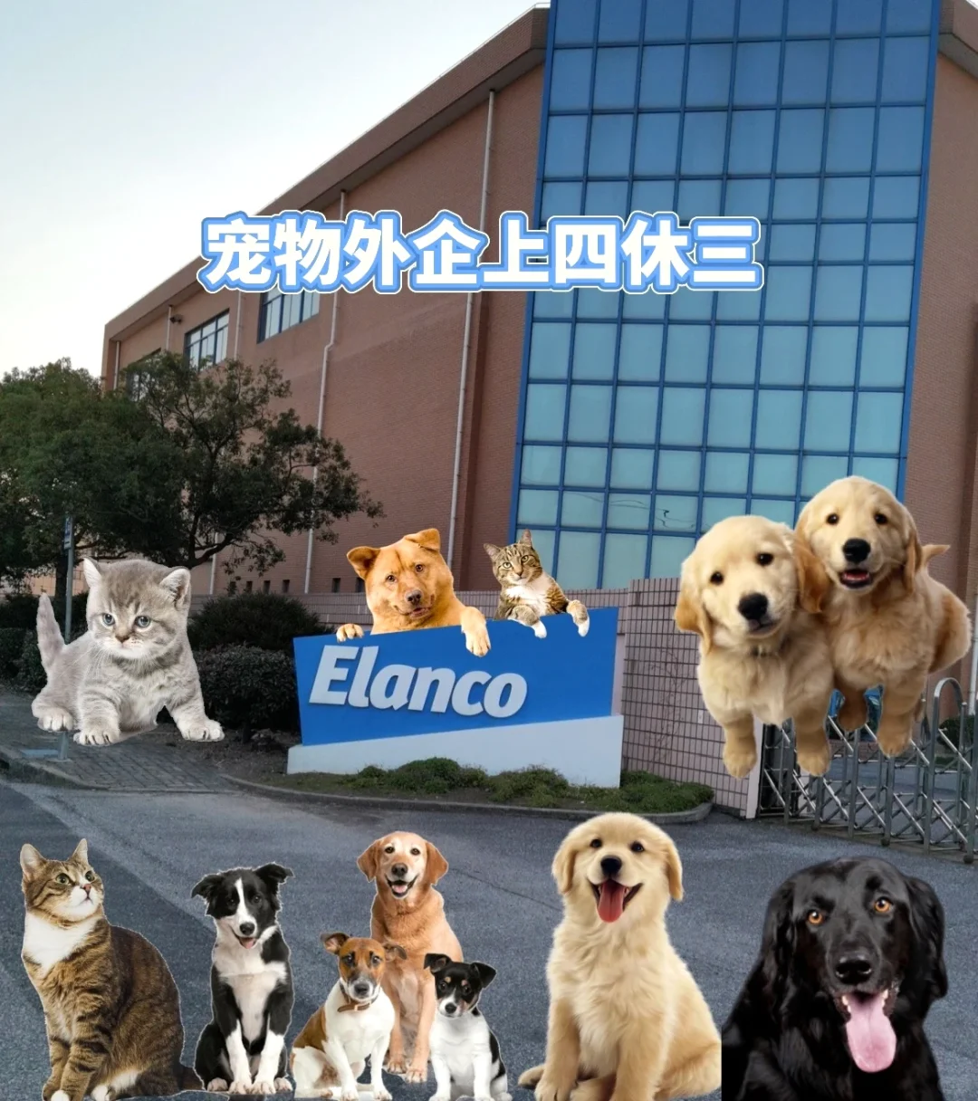 Elanco(中国)宠物外企有愿意来的吗?