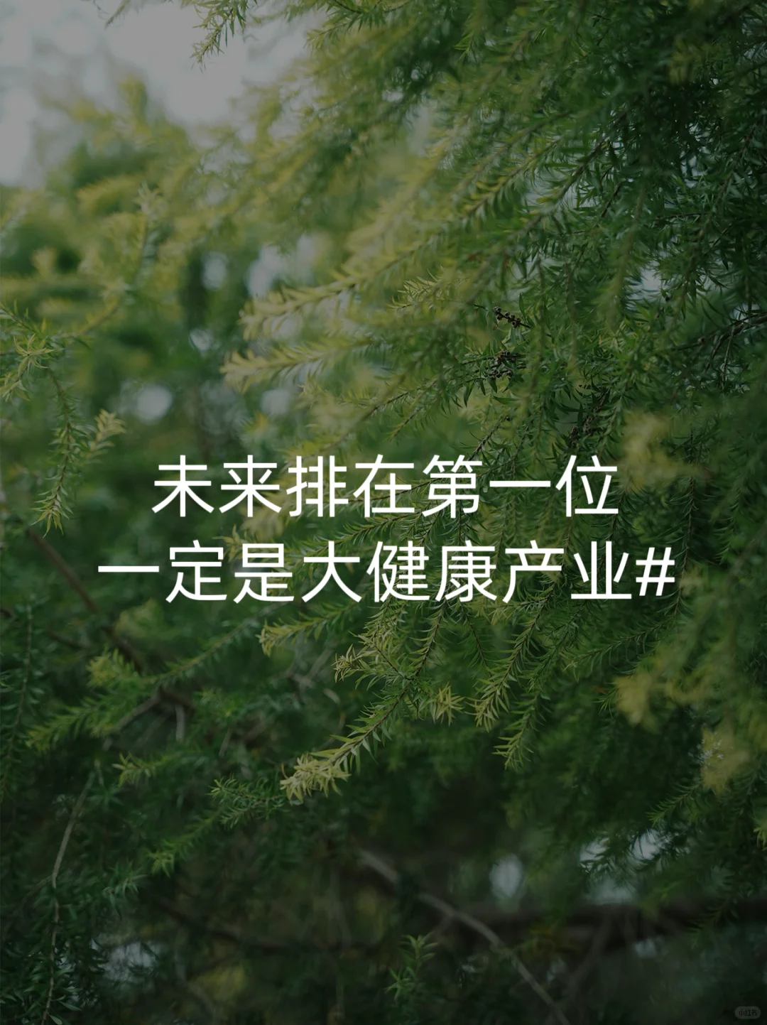 为什么说未来一定是大健康产业